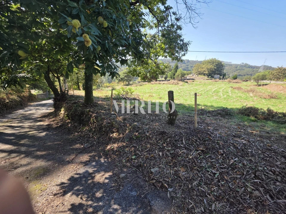 Terreno para Venda em Pico de Regalados, Gondiães e Mós Foto 11