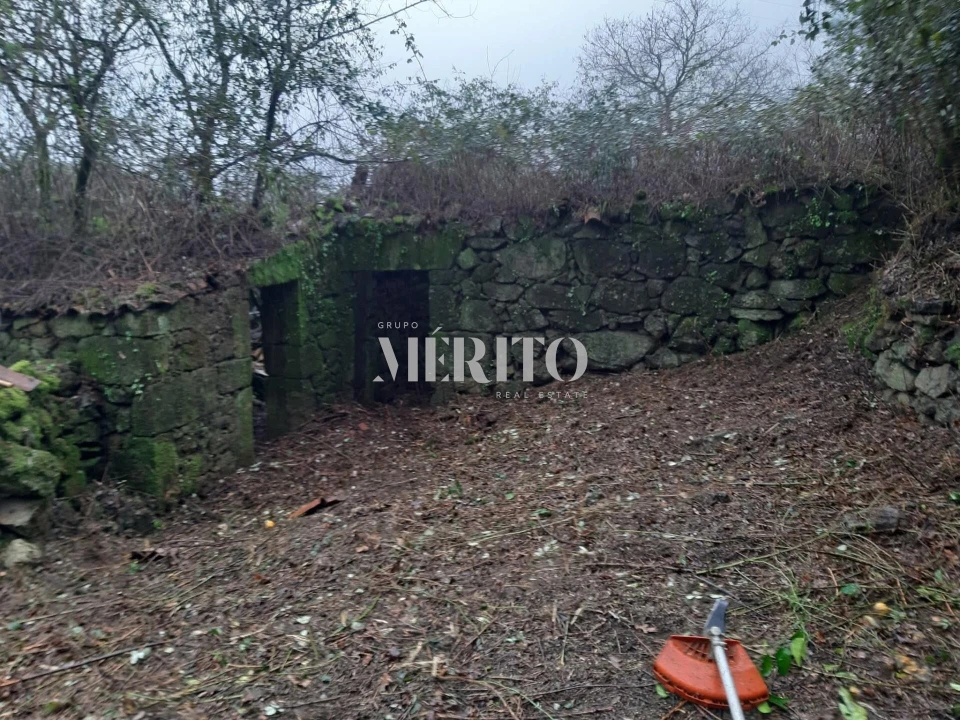 Terreno para Venda em Pico de Regalados, Gondiães e Mós Foto 2
