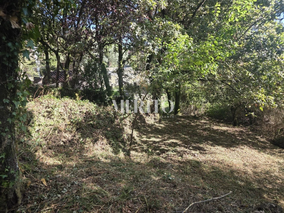 Terreno para Venda em Pico de Regalados, Gondiães e Mós Foto 16