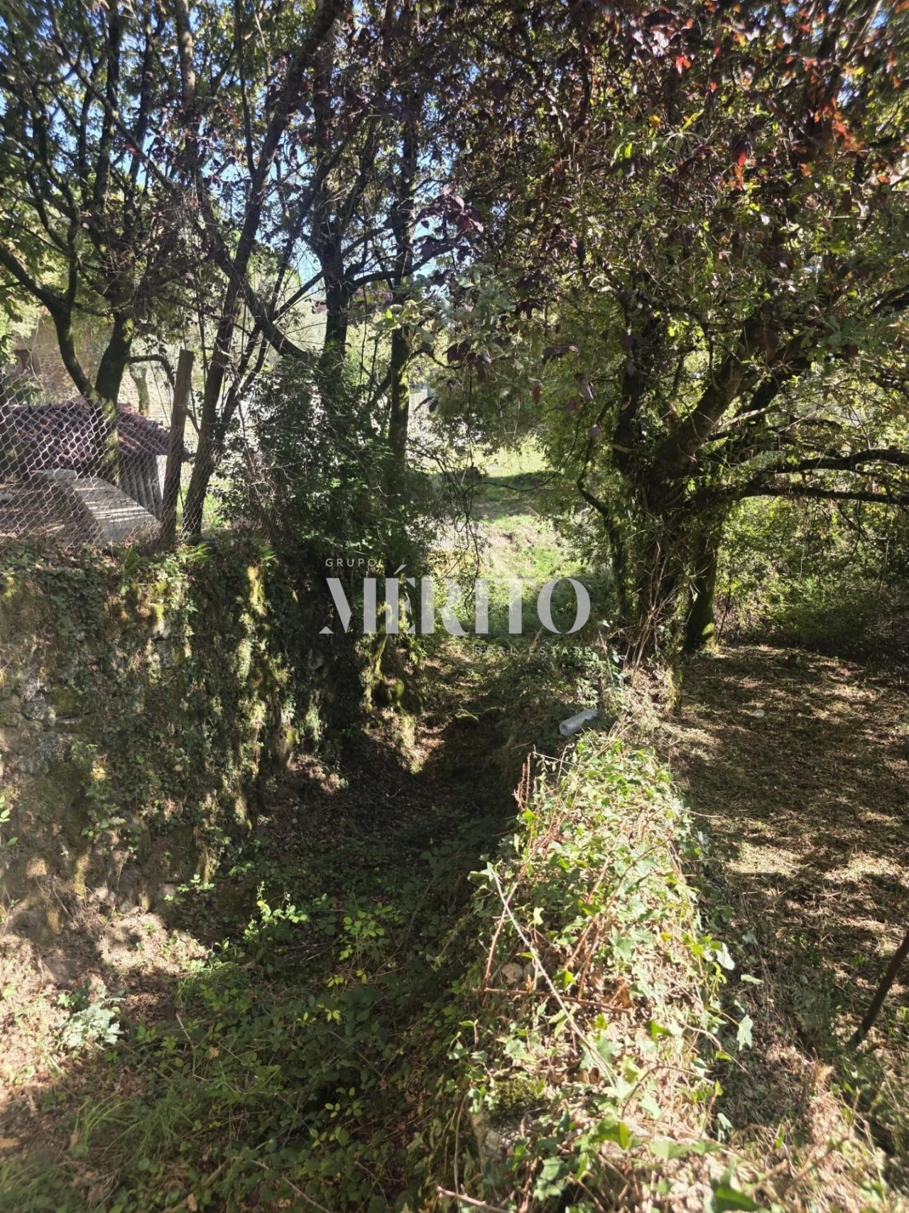 Terreno para Venda em Pico de Regalados, Gondiães e Mós Foto 21