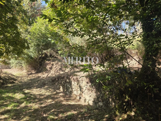 Terreno para Venda em Pico de Regalados, Gondiães e Mós Foto 15