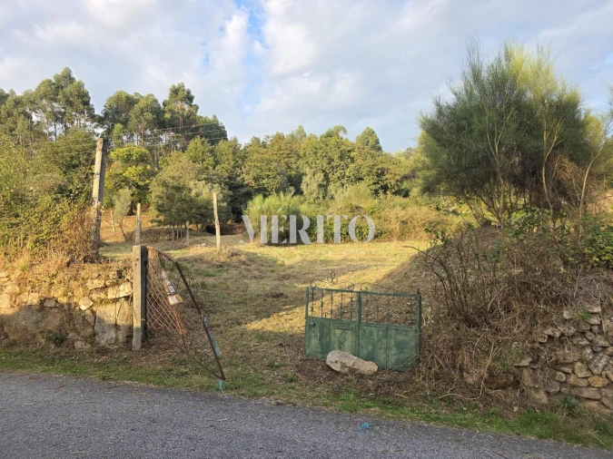 Terreno para Venda em Pico de Regalados, Gondiães e Mós Foto 28
