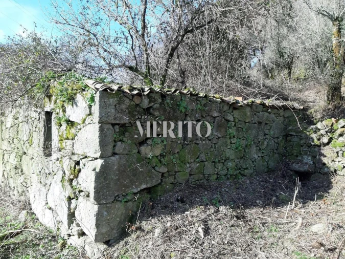 Terreno para Venda em Pico de Regalados, Gondiães e Mós