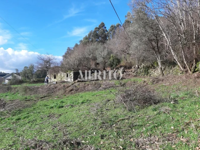 Terreno para Venda em Pico de Regalados, Gondiães e Mós Foto 5