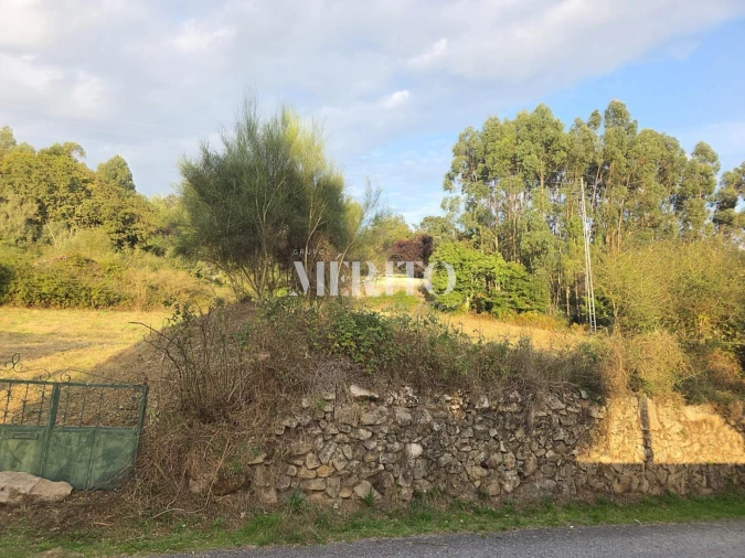Terreno para Venda em Pico de Regalados, Gondiães e Mós Foto 29