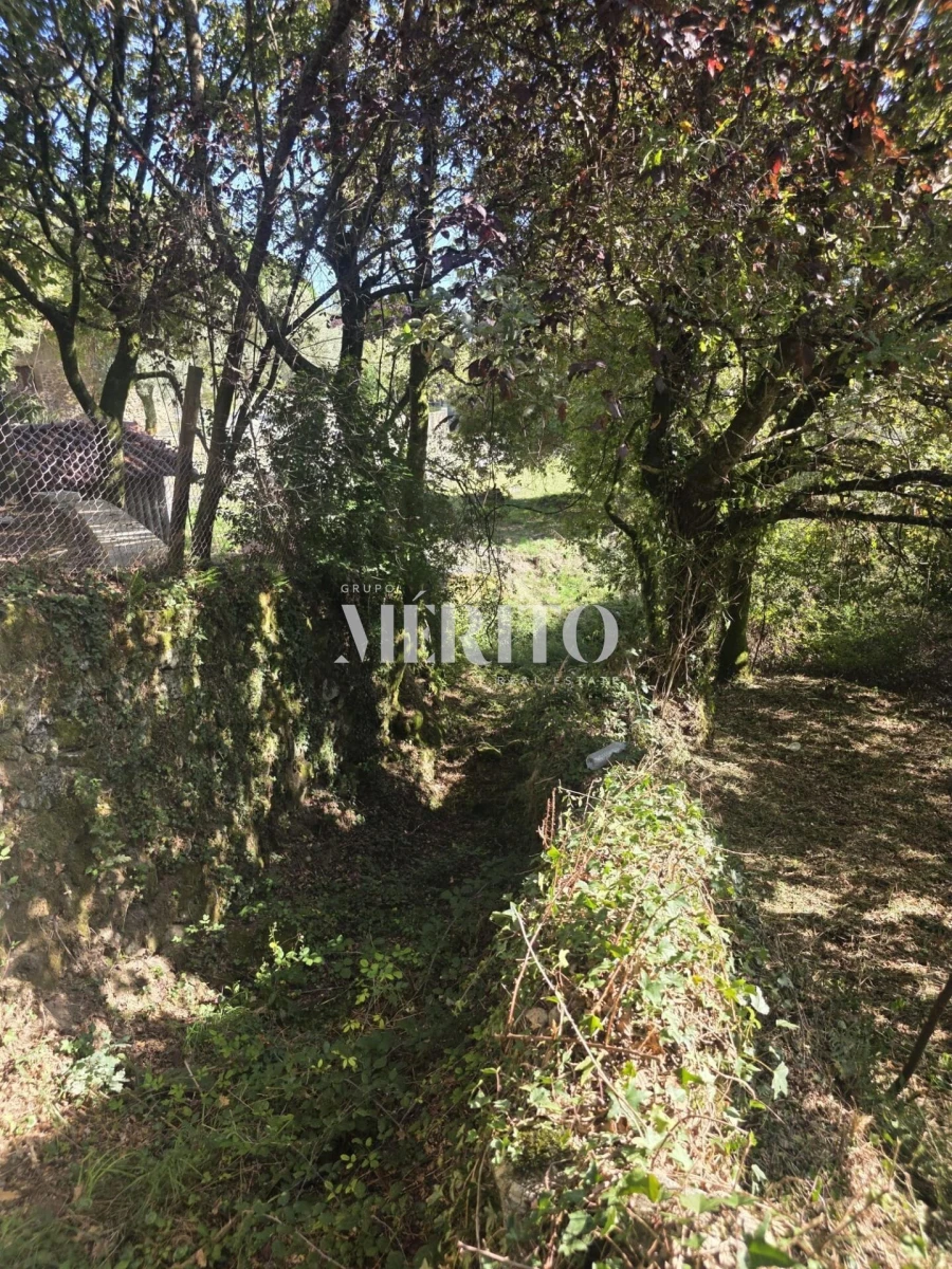 Terreno para Venda em Pico de Regalados, Gondiães e Mós Foto 21