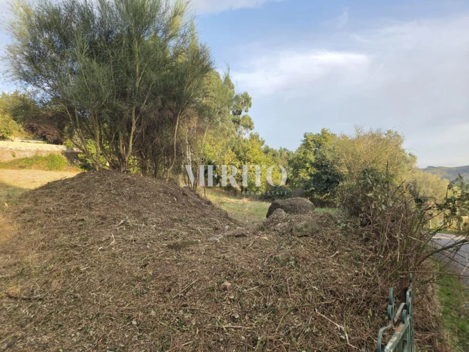 Terreno para Venda em Pico de Regalados, Gondiães e Mós Foto 26