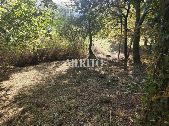 Terreno para Venda em Pico de Regalados, Gondiães e Mós Foto 18