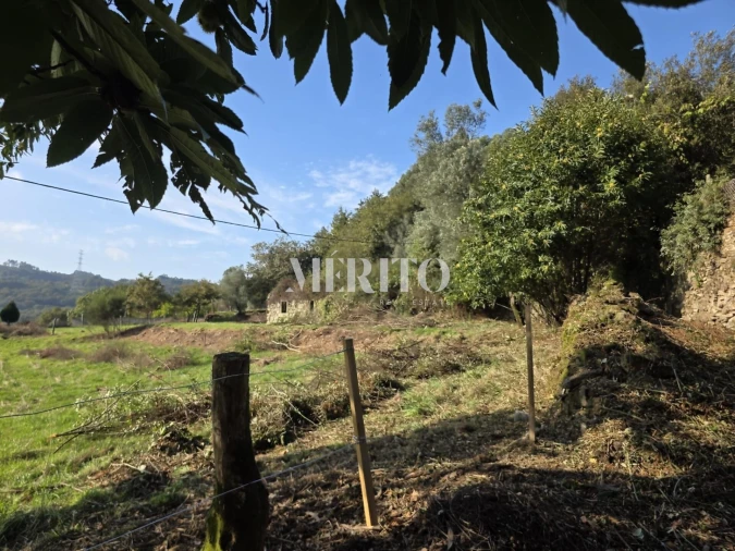 Terreno para Venda em Pico de Regalados, Gondiães e Mós Foto 12