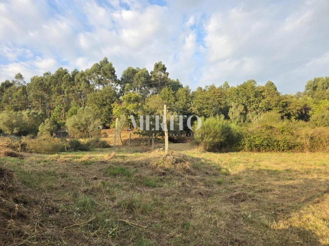 Terreno para Venda em Pico de Regalados, Gondiães e Mós Foto 24