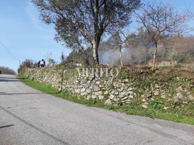 Terreno para Venda em Pico de Regalados, Gondiães e Mós Foto 4