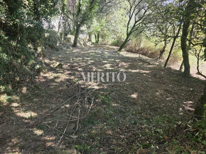 Terreno para Venda em Pico de Regalados, Gondiães e Mós Foto 20