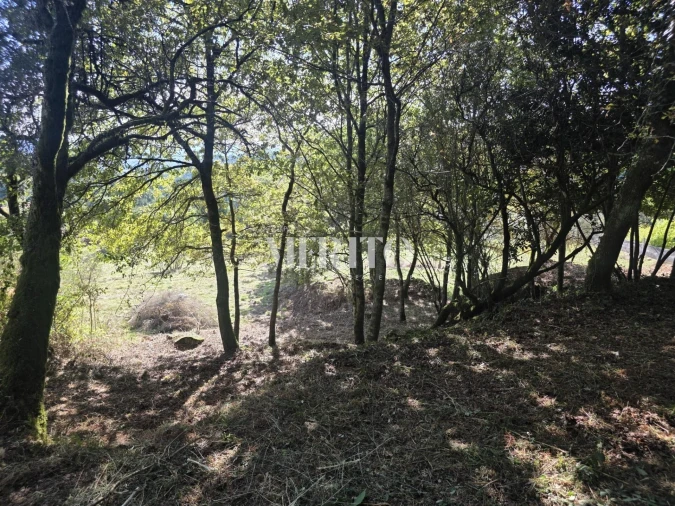 Terreno para Venda em Pico de Regalados, Gondiães e Mós Foto 19