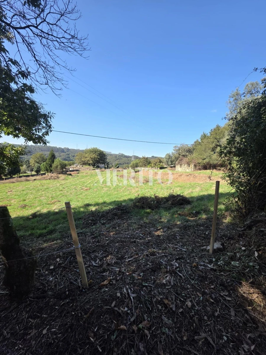 Terreno para Venda em Pico de Regalados, Gondiães e Mós Foto 10