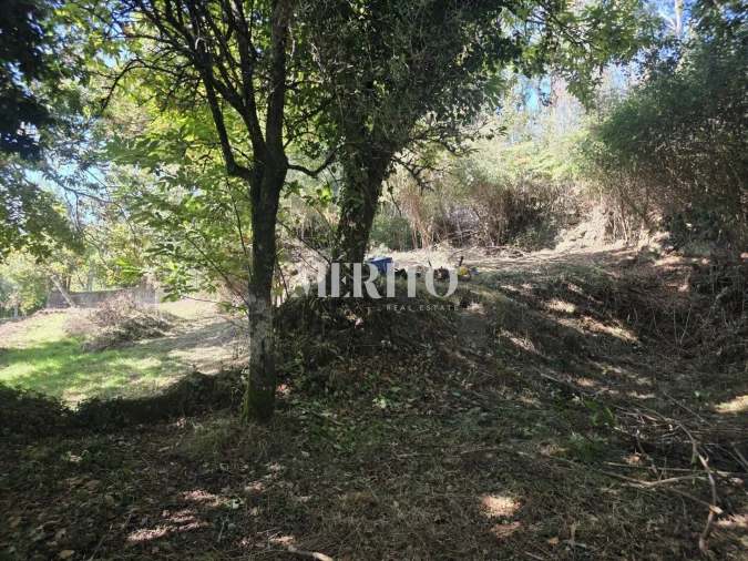 Terreno para Venda em Pico de Regalados, Gondiães e Mós Foto 17