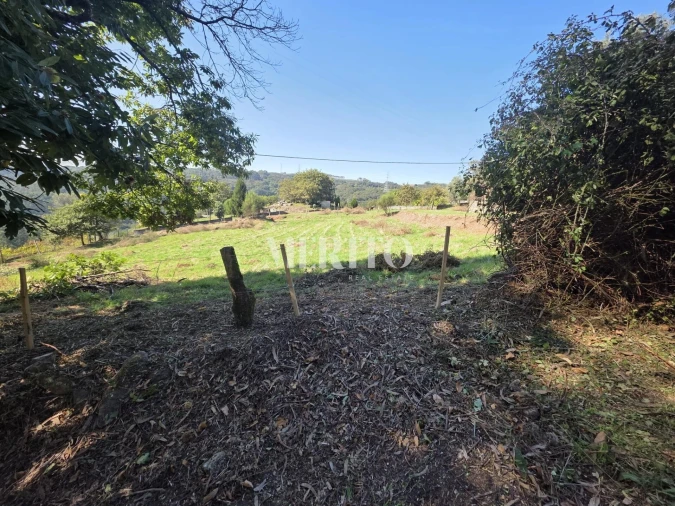 Terreno para Venda em Pico de Regalados, Gondiães e Mós Foto 8