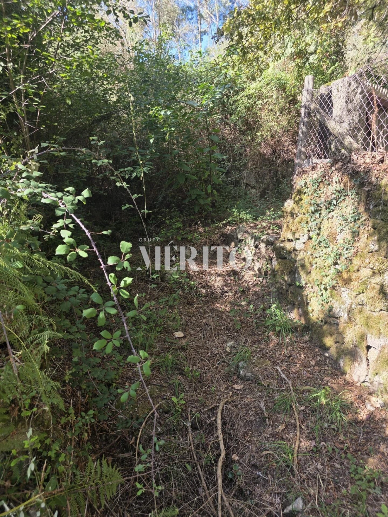 Terreno para Venda em Pico de Regalados, Gondiães e Mós Foto 22