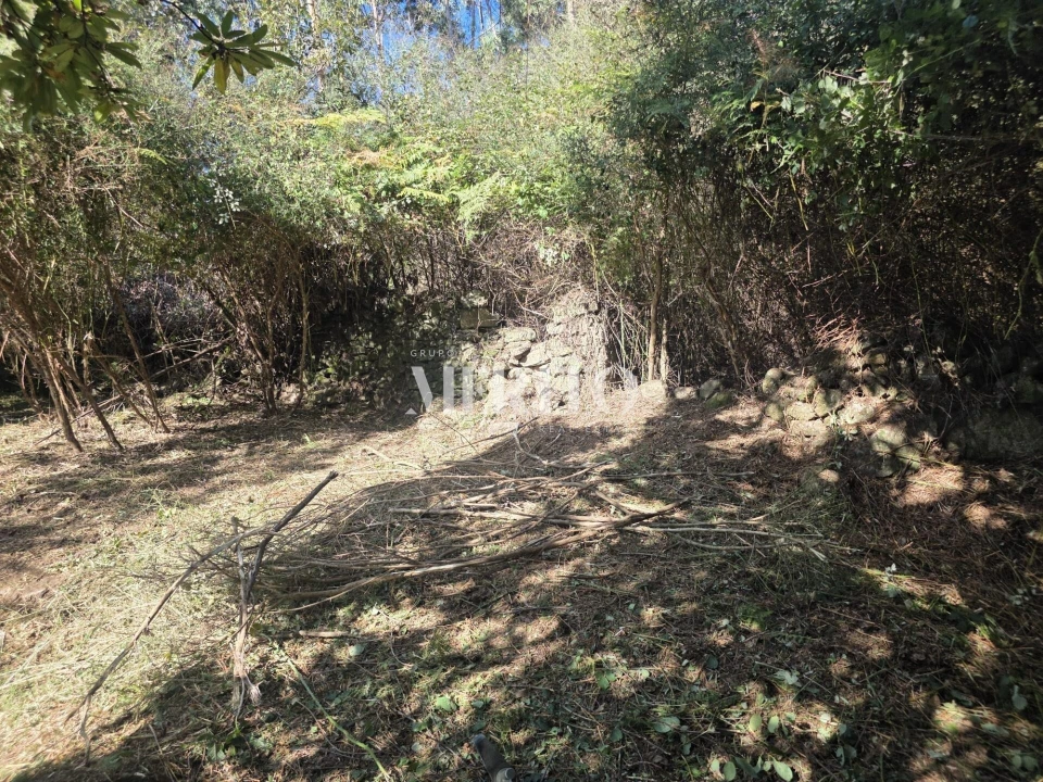 Terreno para Venda em Pico de Regalados, Gondiães e Mós Foto 23