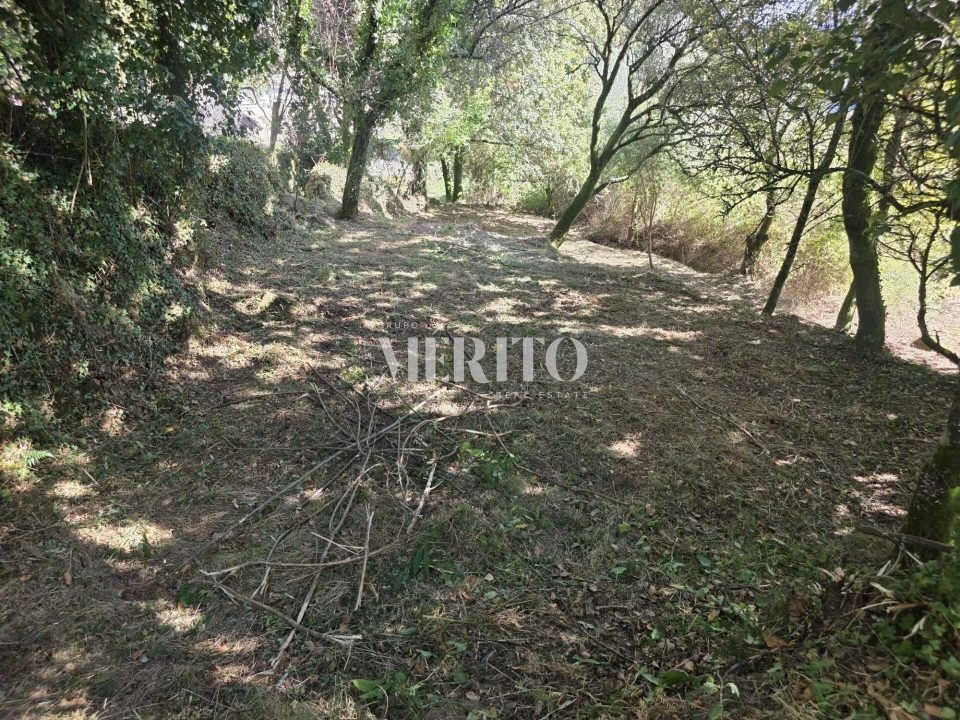 Terreno para Venda em Pico de Regalados, Gondiães e Mós Foto 20