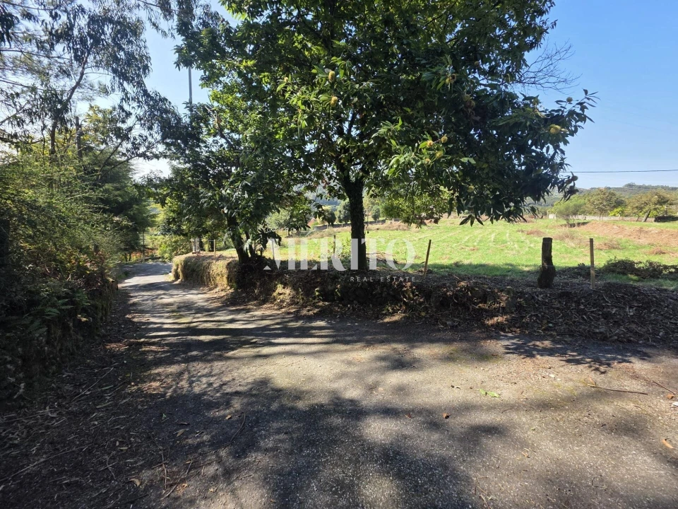Terreno para Venda em Pico de Regalados, Gondiães e Mós Foto 14