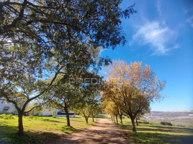 Apartamento T2 para Venda em Pontinha e Famões Foto 1