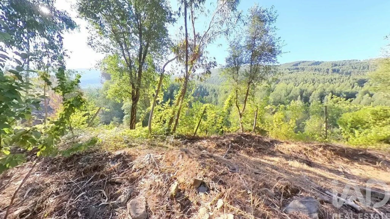 Moradia para Venda em Pedrogão Pequeno Foto 11