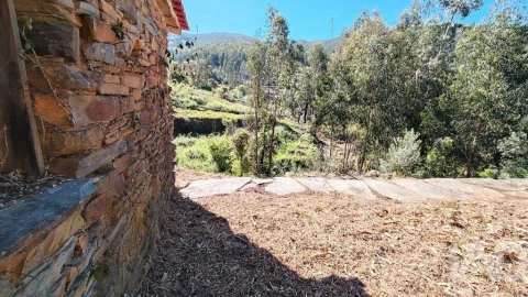 Moradia para Venda em Pedrogão Pequeno