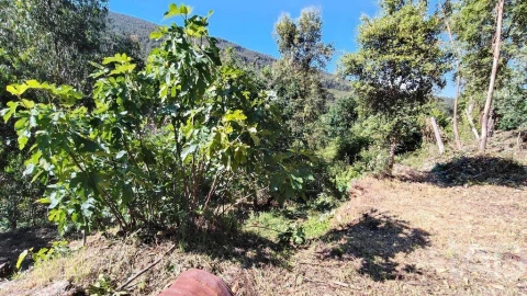 Moradia para Venda em Pedrogão Pequeno