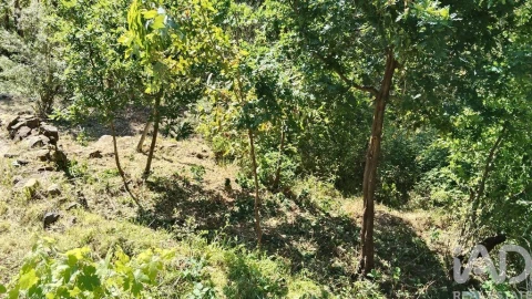 Moradia para Venda em Pedrogão Pequeno