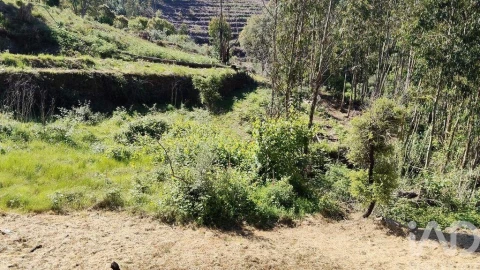 Moradia para Venda em Pedrogão Pequeno