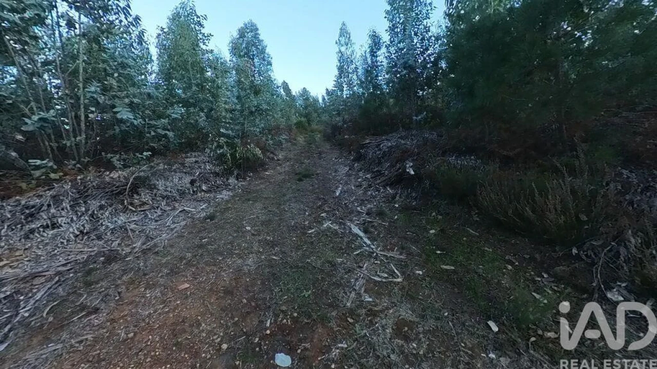 Moradia para Venda em Pedrogão Pequeno Foto 24