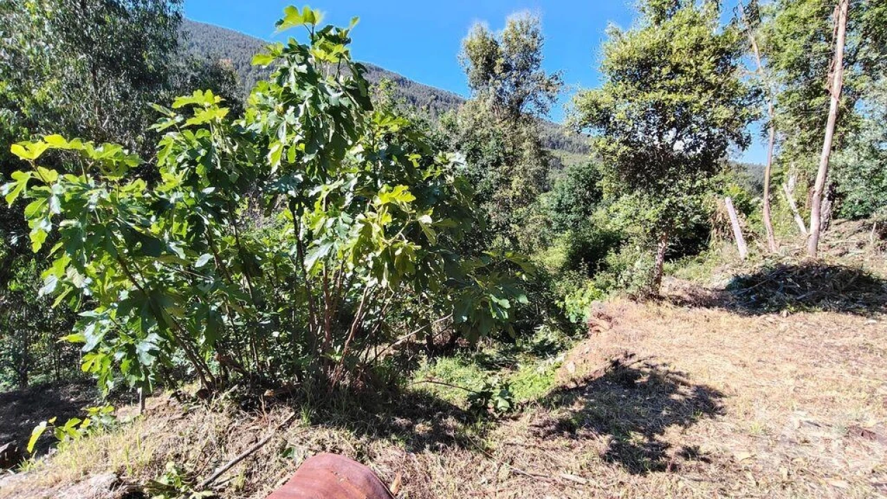Moradia para Venda em Pedrogão Pequeno Foto 22