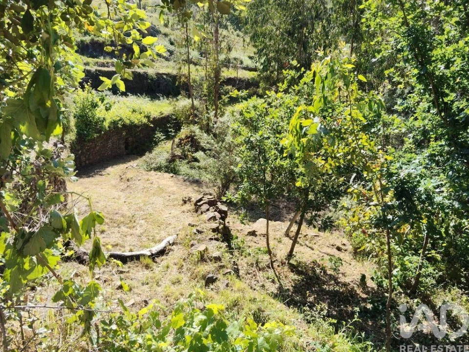 Moradia para Venda em Pedrogão Pequeno Foto 3