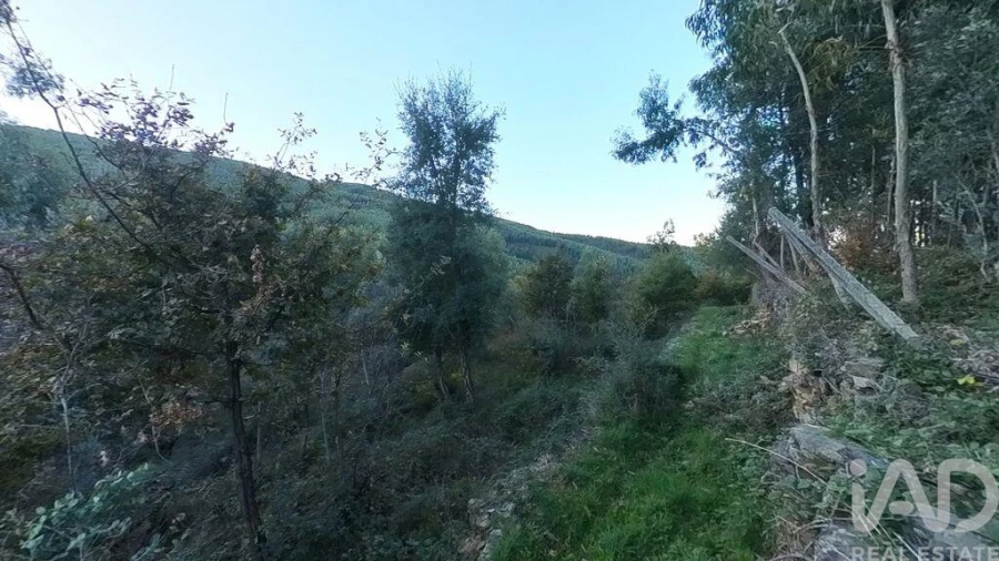 Moradia para Venda em Pedrogão Pequeno Foto 30