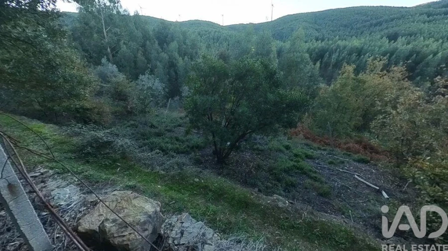 Moradia para Venda em Pedrogão Pequeno Foto 23