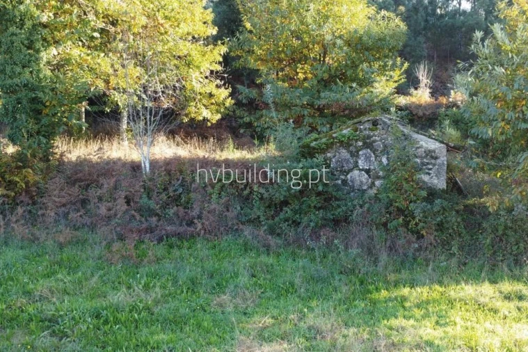 Terreno para Venda em Gamil e Midões Foto 10