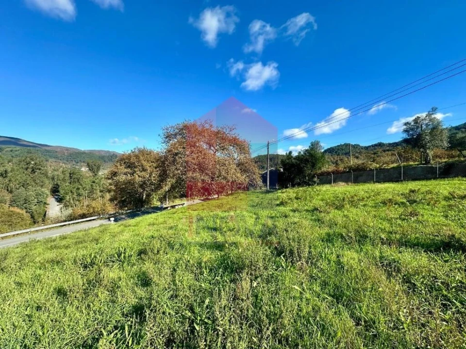 Terreno para Venda em Souto Foto 15