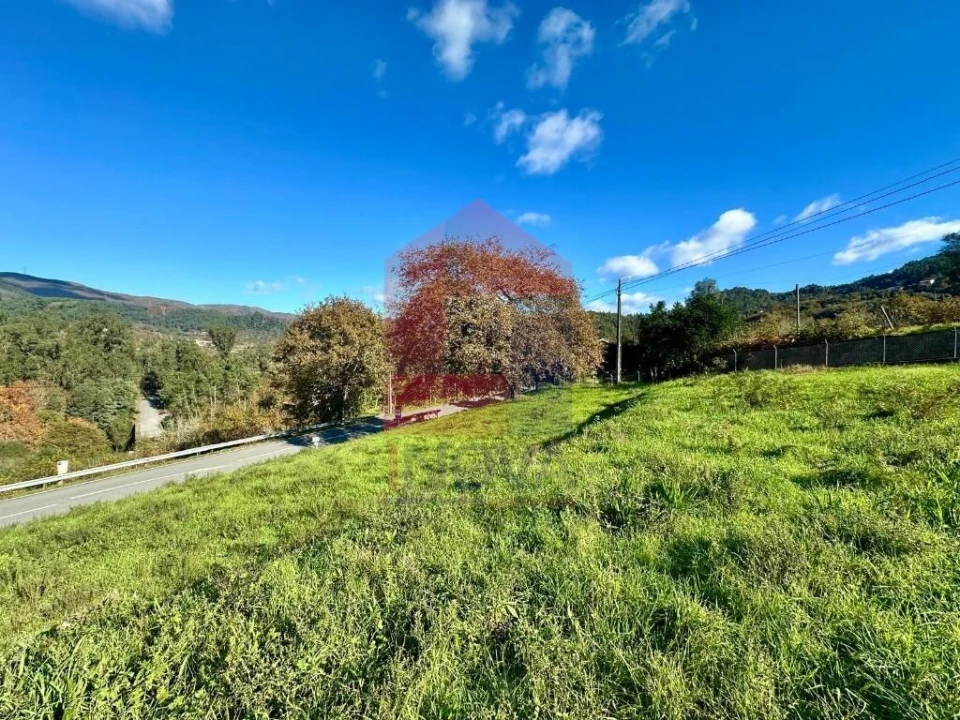 Terreno para Venda em Souto Foto 16