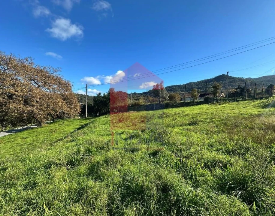 Terreno para Venda em Souto Foto 18