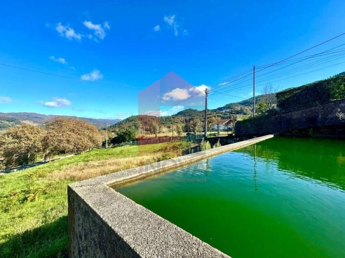 Terreno para Venda em Souto Foto 13