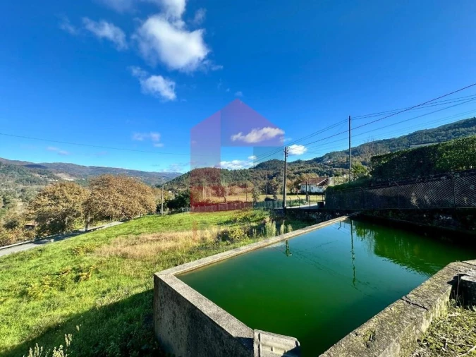 Terreno para Venda em Souto Foto 1