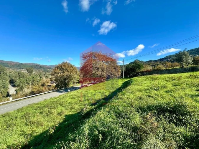 Terreno para Venda em Souto Foto 19