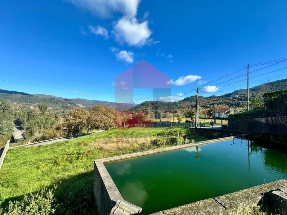 Terreno para Venda em Souto Foto 10