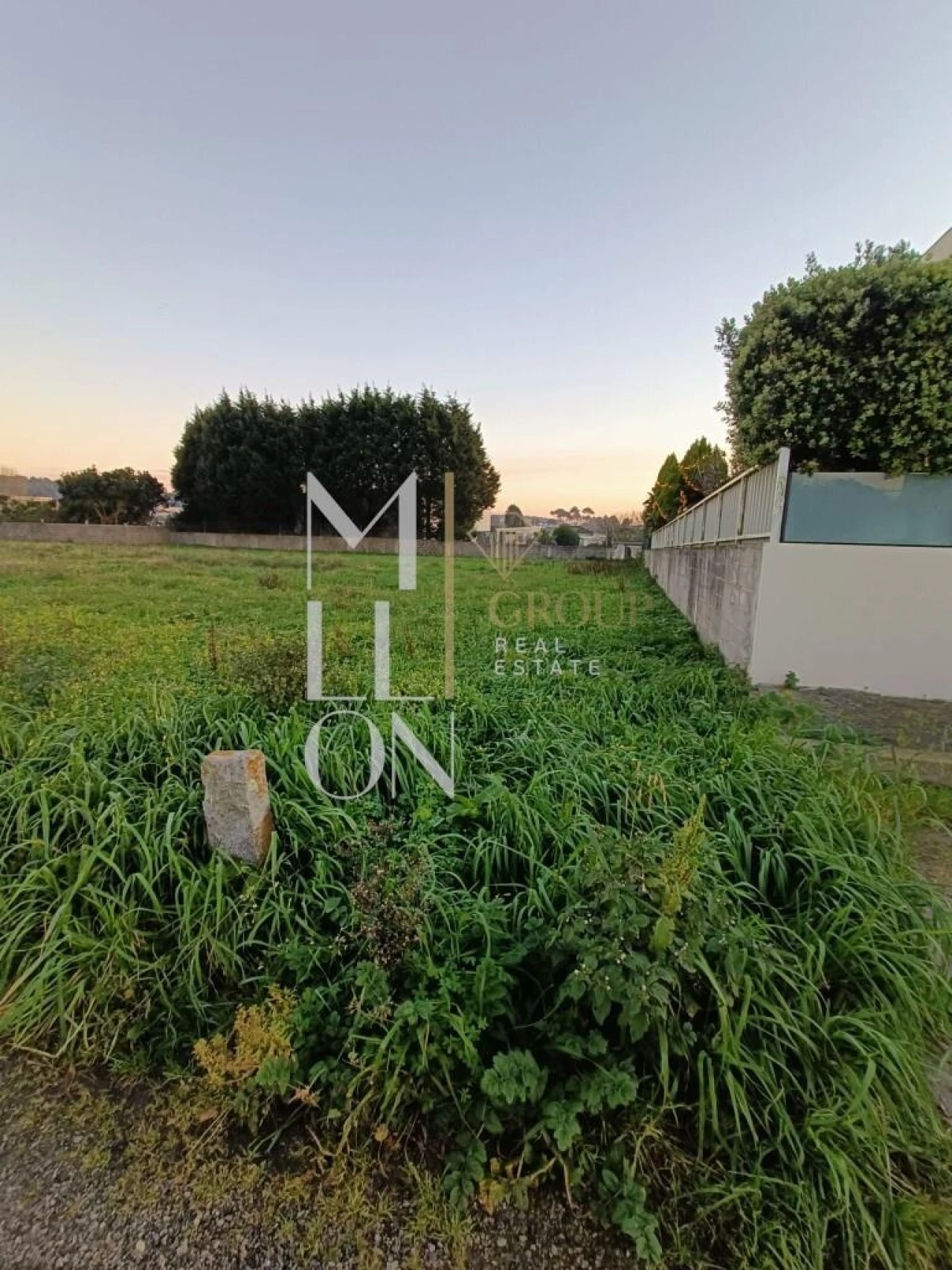 Terreno para Venda em Madalena Foto 4
