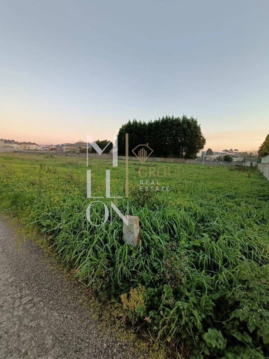 Terreno para Venda em Madalena Foto 5