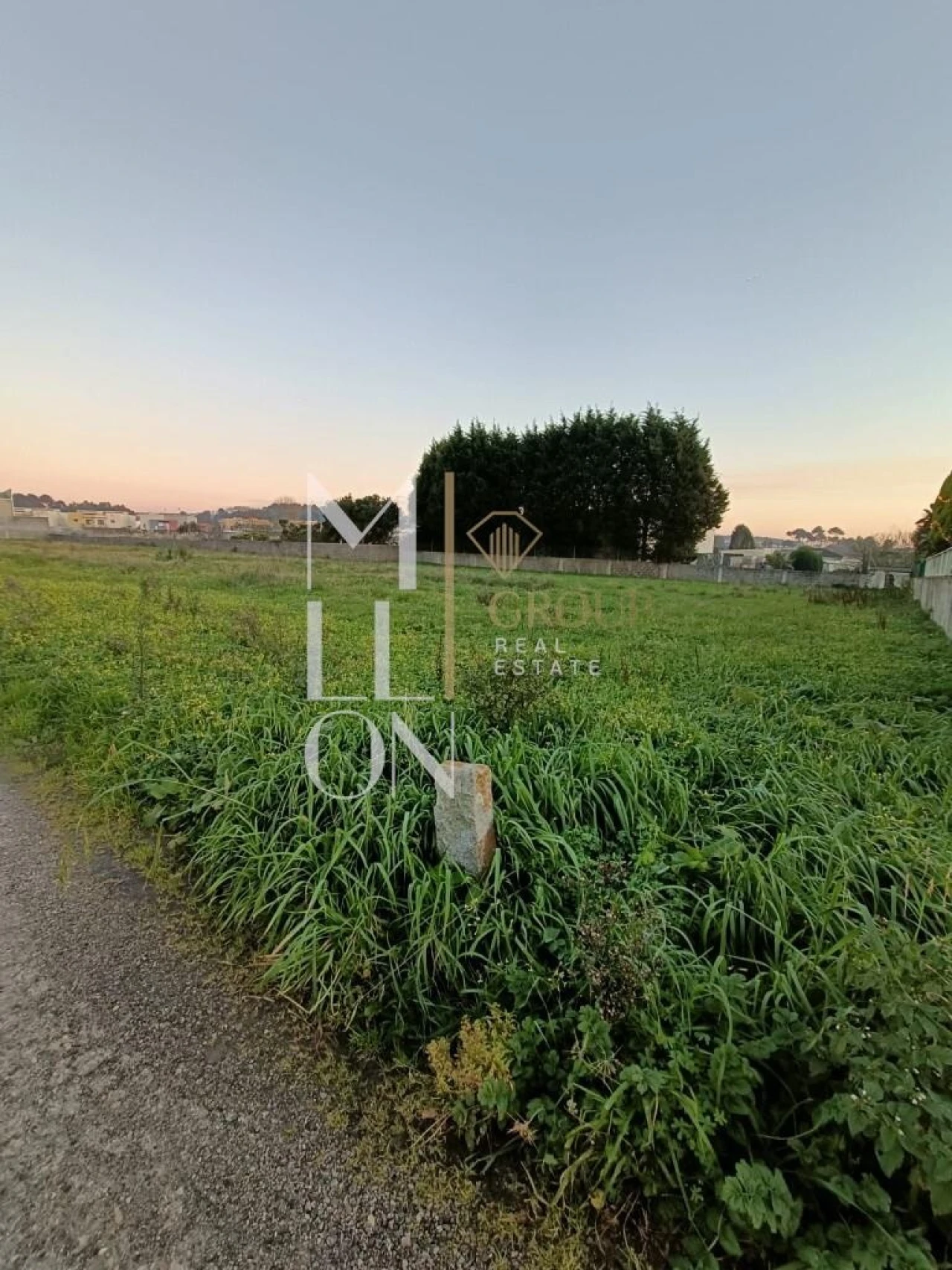 Terreno para Venda em Madalena Foto 5