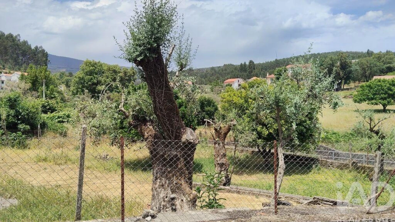 Moradia T4 para Venda em Alvares Foto 2