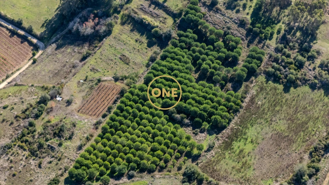 Moradia T2 para Venda em Carnota Foto 23