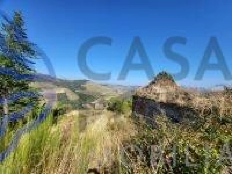 Quinta T5 para Venda em Provesende, Gouvães Douro, São Cristóvão Douro Foto 3