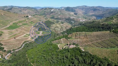 Quinta T5 para Venda em Provesende, Gouvães Douro, São Cristóvão Douro